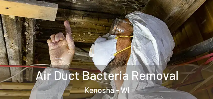  Air Duct Bacteria Removal Kenosha - WI
