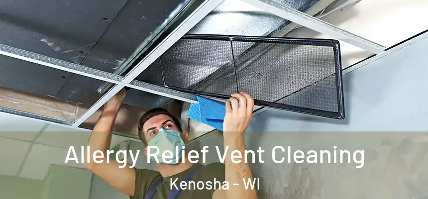 Allergy Relief Vent Cleaning Kenosha - WI