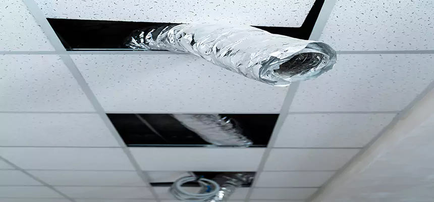 Affordable HVAC Sanitizing After Pest Removal in Kenosha