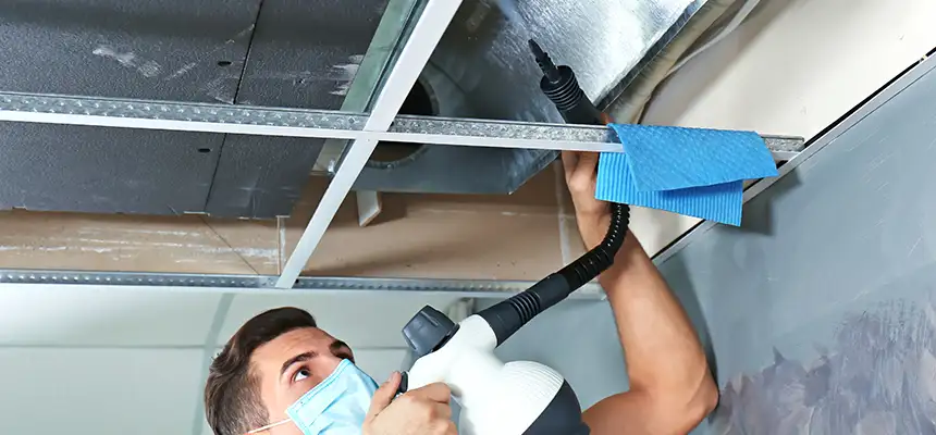 Our Air Duct Rodent Removal Services in Kenosha, WI