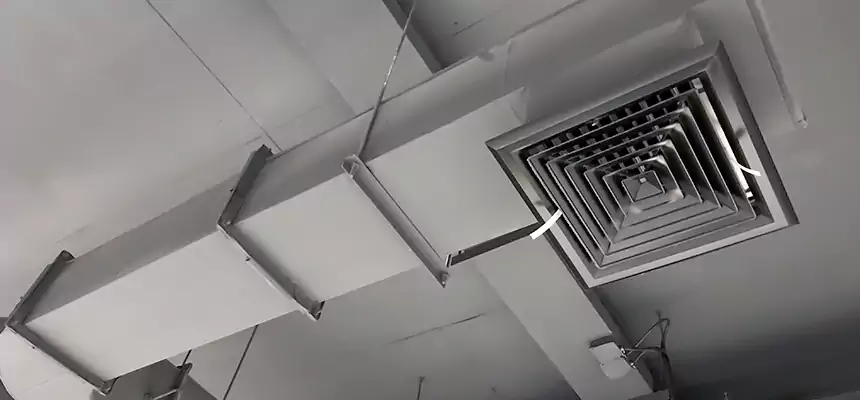 Our Pest Removal From Ducts Services in Kenosha, WI