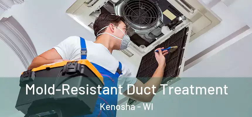  Mold-Resistant Duct Treatment Kenosha - WI