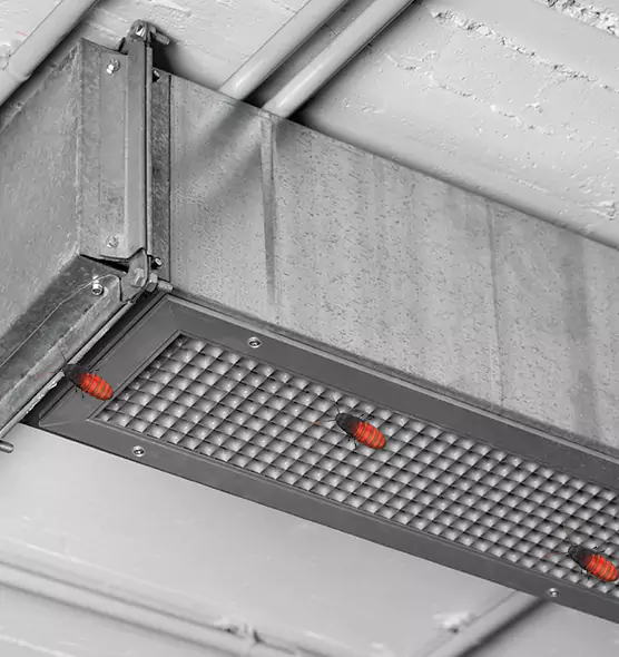 About Air Duct Cockroach Removal in Kenosha, WI
