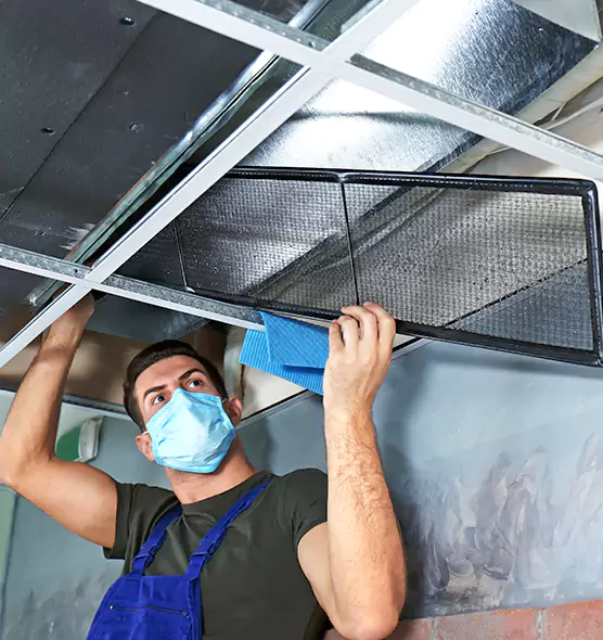 Professional Air Duct Pollen Cleaning in Kenosha, WI