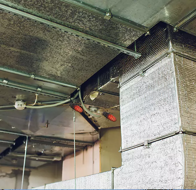 Why Homeowners & Businesses Trust Us in Kenosha, WI?