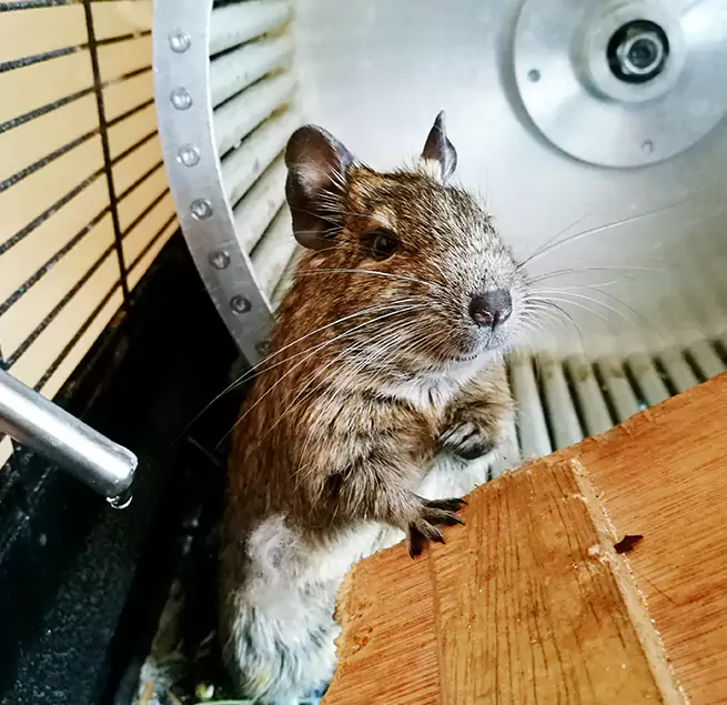 Why Homeowners & Businesses Trust Us Kenosha, WI?